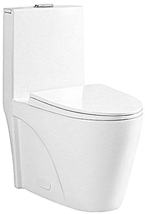 One Piece Oval Toilet With Soft Closing Seat And Dual Flush Height 30 9/10'
